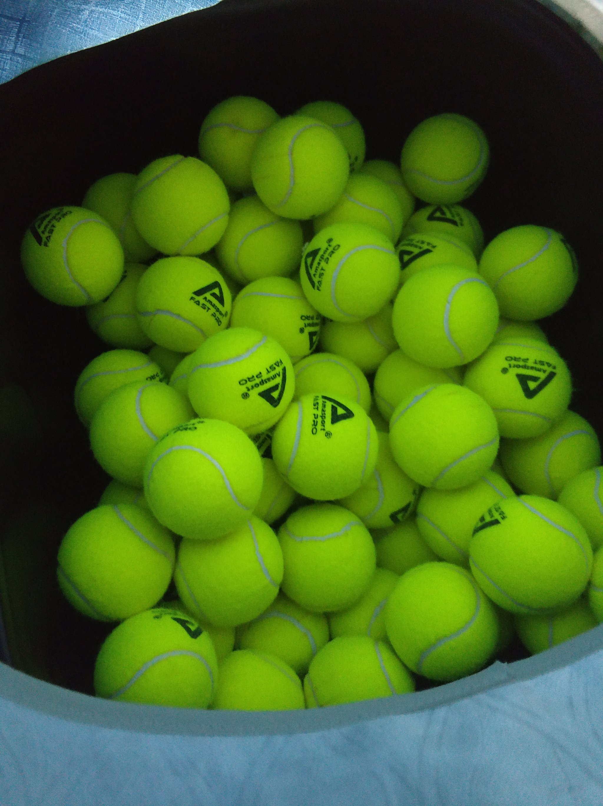 的表现赢得 的表现赢得